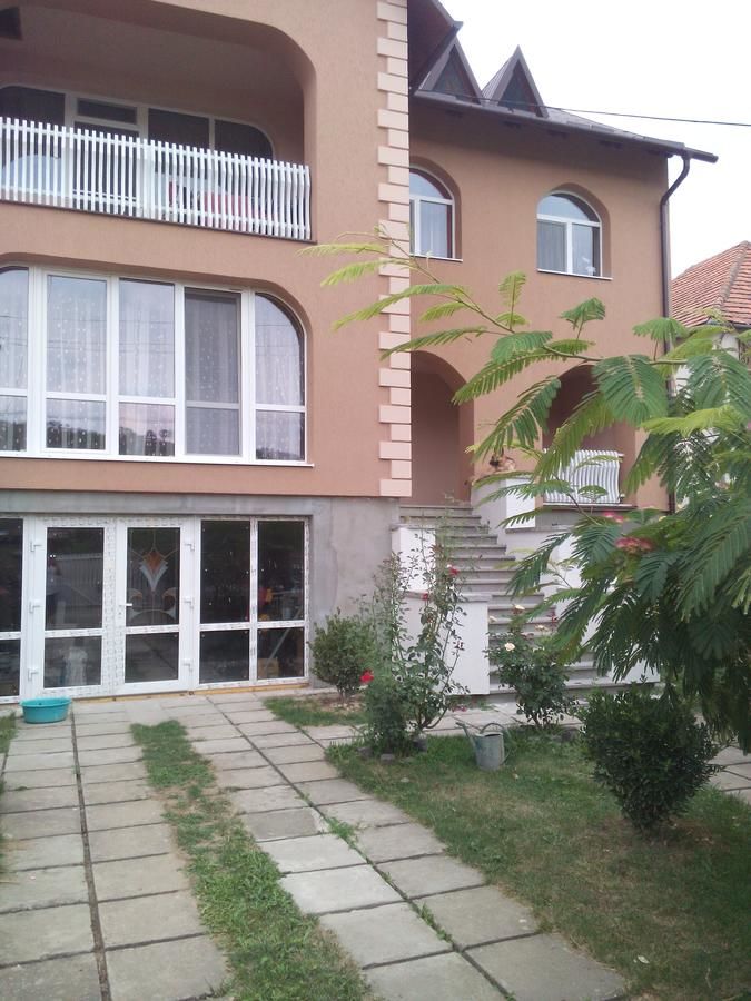 Апартаменты Private House Берегово-20