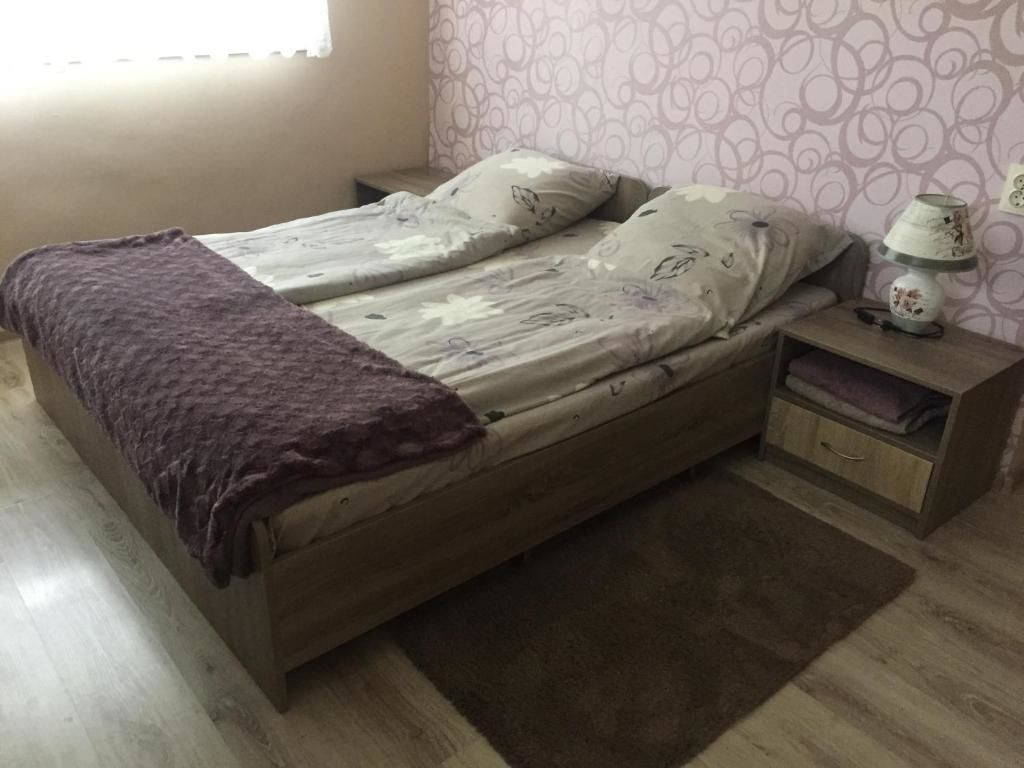 Апартаменты Private House Берегово-32